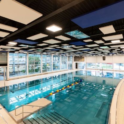 Bild von 4 h Schwimmen Erwachsene